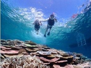 Finally, it's time for the long-awaited snorkeling!