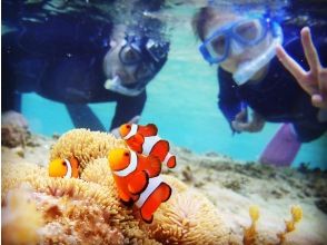 浅瀬にも生き物がたくさん！