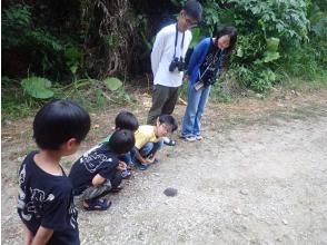 日照時間中の生き物探し！