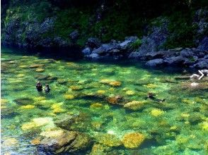 屋久島の水は透明度が抜群！！