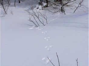 色々な発見がみつかるよ!