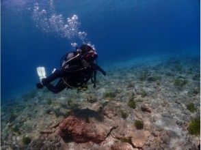 まるで空を飛んでいるかのように！！