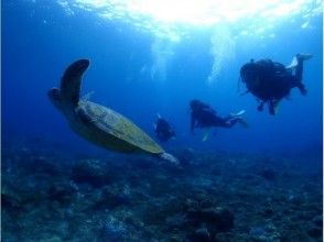 念願のカメとの２ショット！！