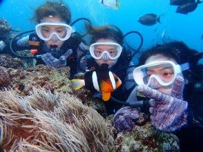 熱帯魚と遊ぼう♪