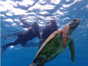 Snorkeling with sea turtle ♪