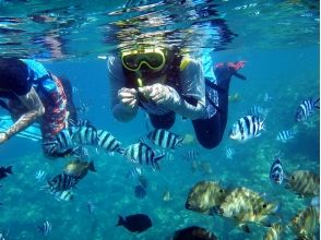 【A Plan】 "Blue cave" photo shooting free service! Snorkel Tour (with food)