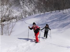 雪原をのんびりと歩きます