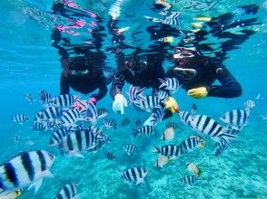 Snorkel start