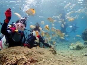熱帯魚に餌付けを楽しみます。