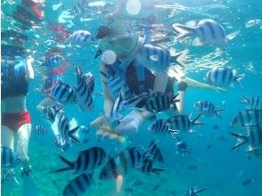 外洋はお魚がいっぱい(餌付け付き)