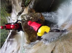 左足の踏ん張りがミソ