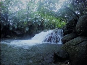 Waterfall play