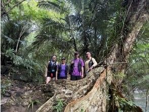 Return canoeing and trekking