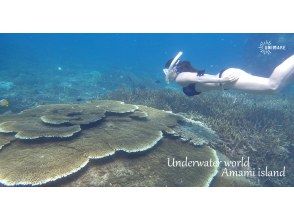 You might be able to see various kinds of coral!