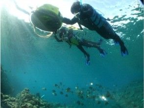 お魚もいっぱい!!