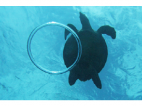 さっそく海へ!浅瀬で練習して沖縄ブルーの海へ