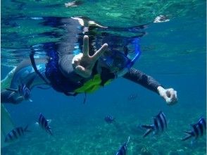 お魚いっぱい海中散歩♪