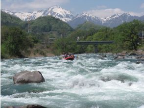 Firefly rapids