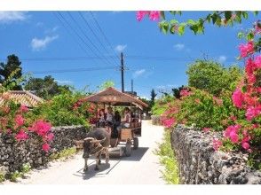 Taketomi-jimo sightseeing