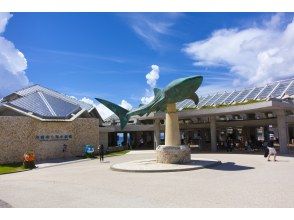 沖縄美ら海水族館