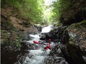 癒されながら流れてみよう♪