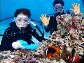 人気のクマノミと一緒に 記念撮影☆