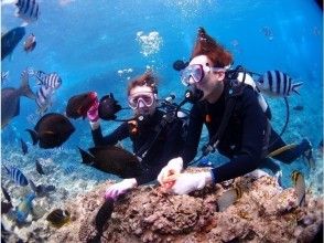 沢山のカラフルなお魚達がお出迎え！
