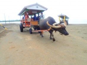 由布島から戻ってきました