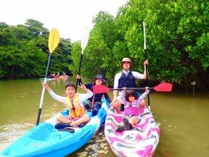 Mangrove cruising started!