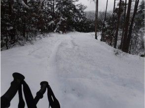 雪上散歩