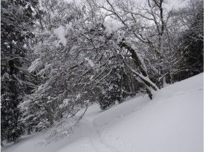 Snow Treckスタート～！
