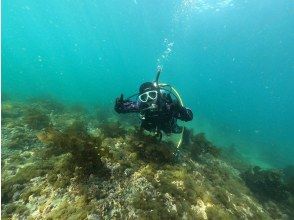 ちょっとした遊び気分で。