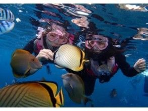 Tropical fish feeding time.