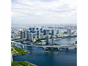 Aerial view of Odaiba