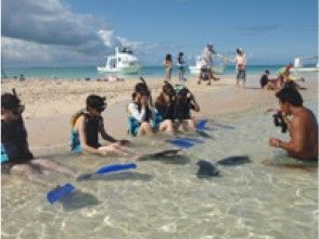 Snorkeling class in shallow water where you can reach your feet