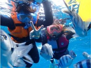 水中ではお魚が目の前に！