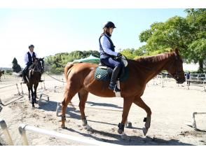 乗馬クラブ 体験試乗会