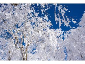 ツアースタート