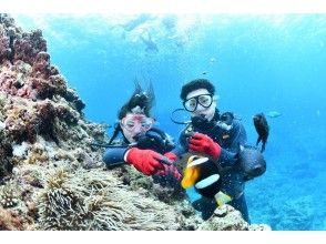 【熱帯魚たちへのエサやり体験】