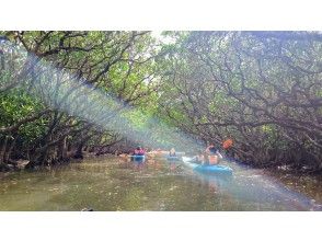 Mangrove canoe & Modama waterfall in the afternoon