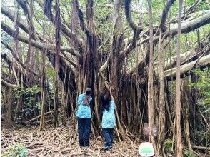 ☆To the Giant Tree of Happiness Area☆