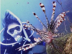 재미있는 수중 세계