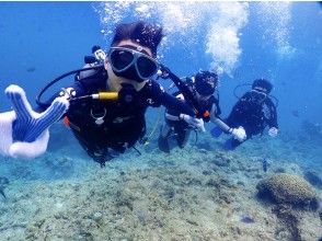 Guide to the underwater world ♪ Experience time is about 40 minutes