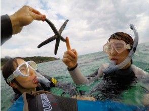 让我们触摸海洋生物♪