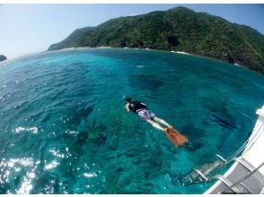 Start snorkeling