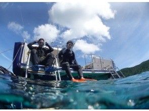 Start diving