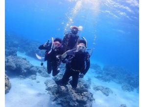 To the underwater tour!