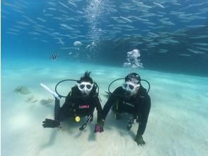 会议，接待，换衣服