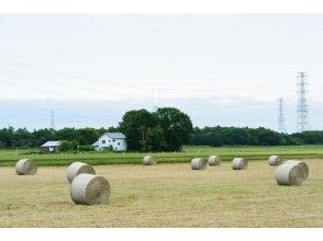 周辺のフォトジェニックな風景もツアーの醍醐味です。