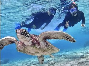 Sea turtle snorkeling!